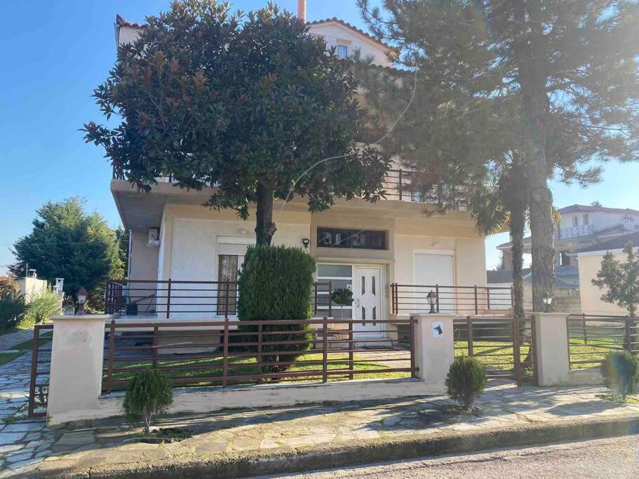 Family'S Home Trikala מראה חיצוני תמונה